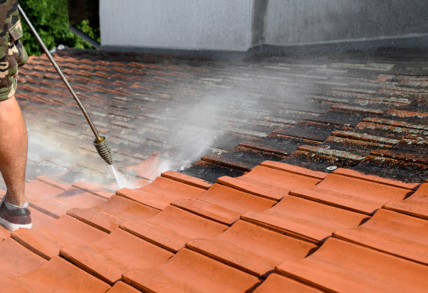 Best Best Pressure Washing Companies  in Whitesburg, KY