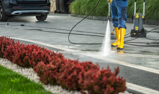 Best Deck Pressure Washing  in Whitesburg, KY