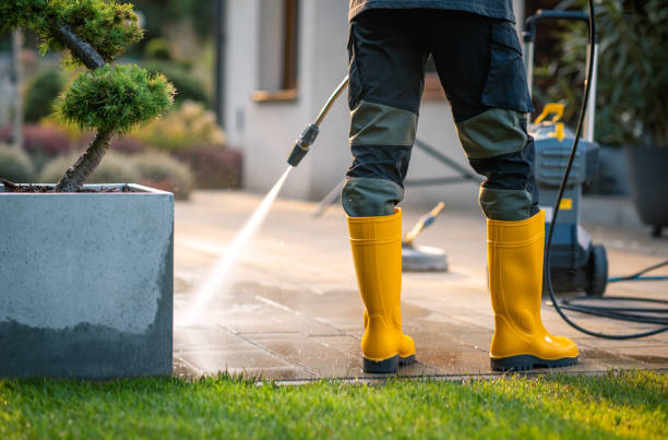Best Local Pressure Washing Services  in Whitesburg, KY